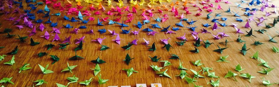Sandra ist Lehrerin und hat mir Ihrer Klasse 1116 Papierkraniche gefaltet