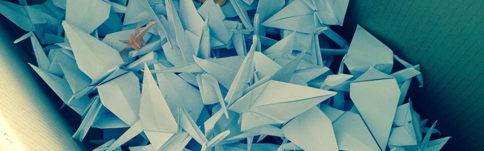 Sandra ist Lehrerin und hat mir Ihrer Klasse 1116 Papierkraniche gefaltet